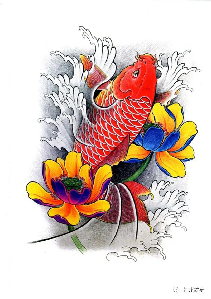 鲤鱼,锦鲤