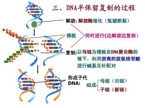天天快报