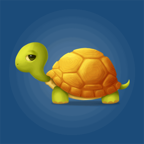 七星一男子因饲养这种乌龟被抓