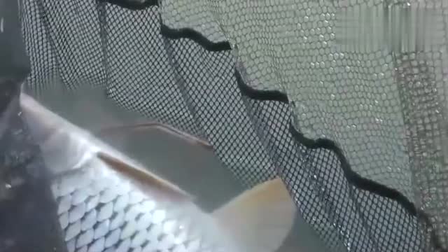 0?fmt=jpg&size=33&rs=25-23&h=360&w=640&ppv=1