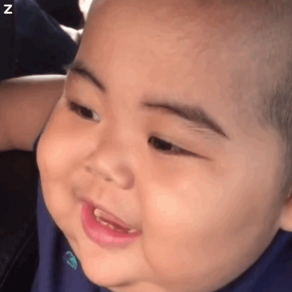 tantan表情包动图合集