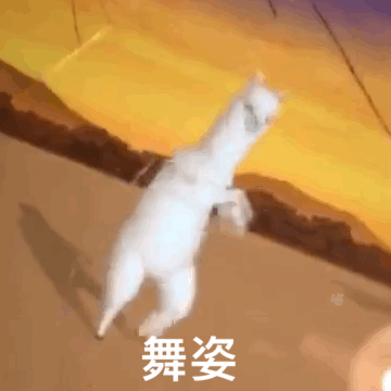 哈哈哈太魔性了!最近这只羊驼火到大家都在用它的表情
