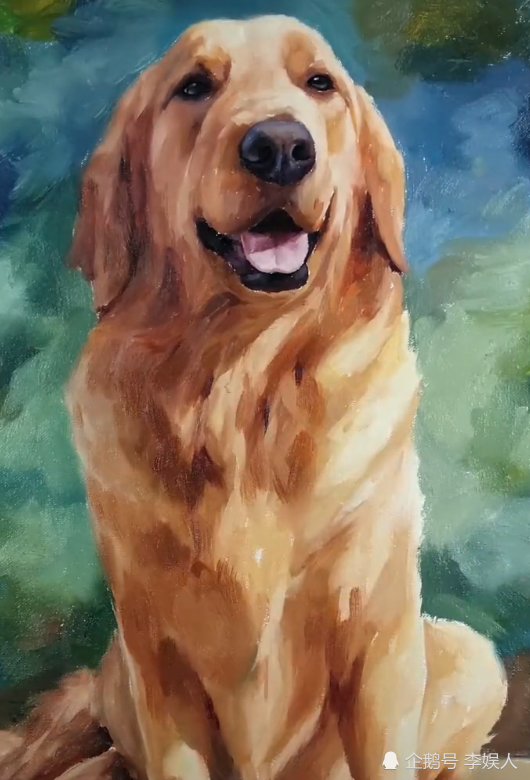 美术生画金毛 以为是随便画画 看到成品 为什么把小七放纸上 看点快报