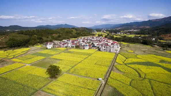 安福,安福县,森林,泰山乡,彭坊乡,章庄乡,洋溪镇,石溪村