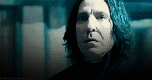 詹姆斯,西弗勒斯·斯内普,莱姆斯·卢平,哈利,邓布利多