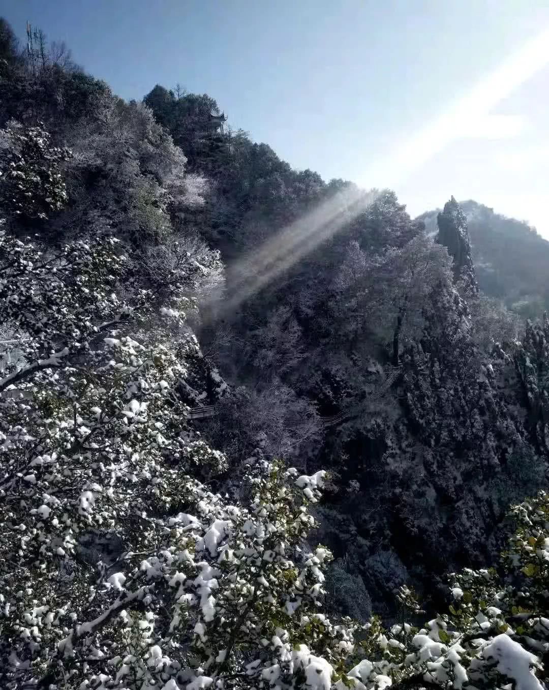 雪后初晴景色宜人 雪景图已上新 今年冬天到目前为止 很多地方还未