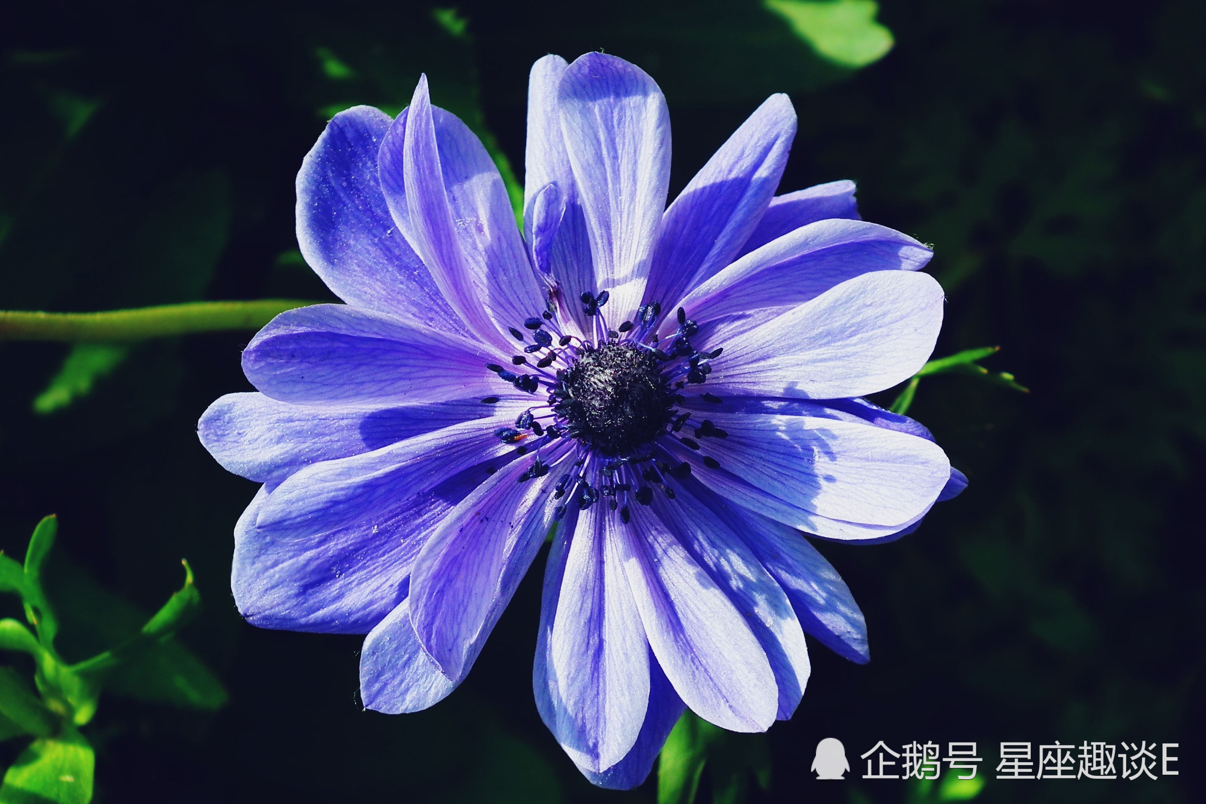 面对这些星座 水瓶座只能投降 天天要闻