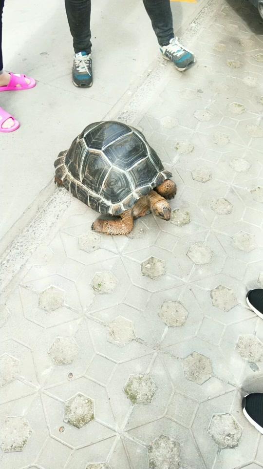 0?fmt=jpg&size=64&h=960&w=540&ppv=1