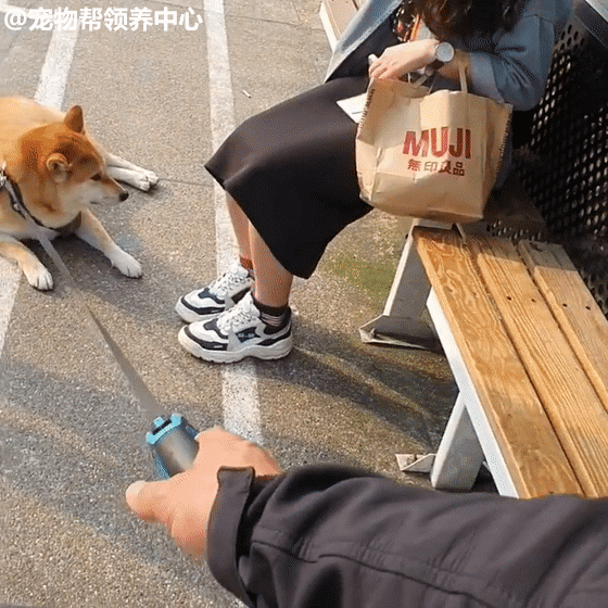 不管是黑丝美女.