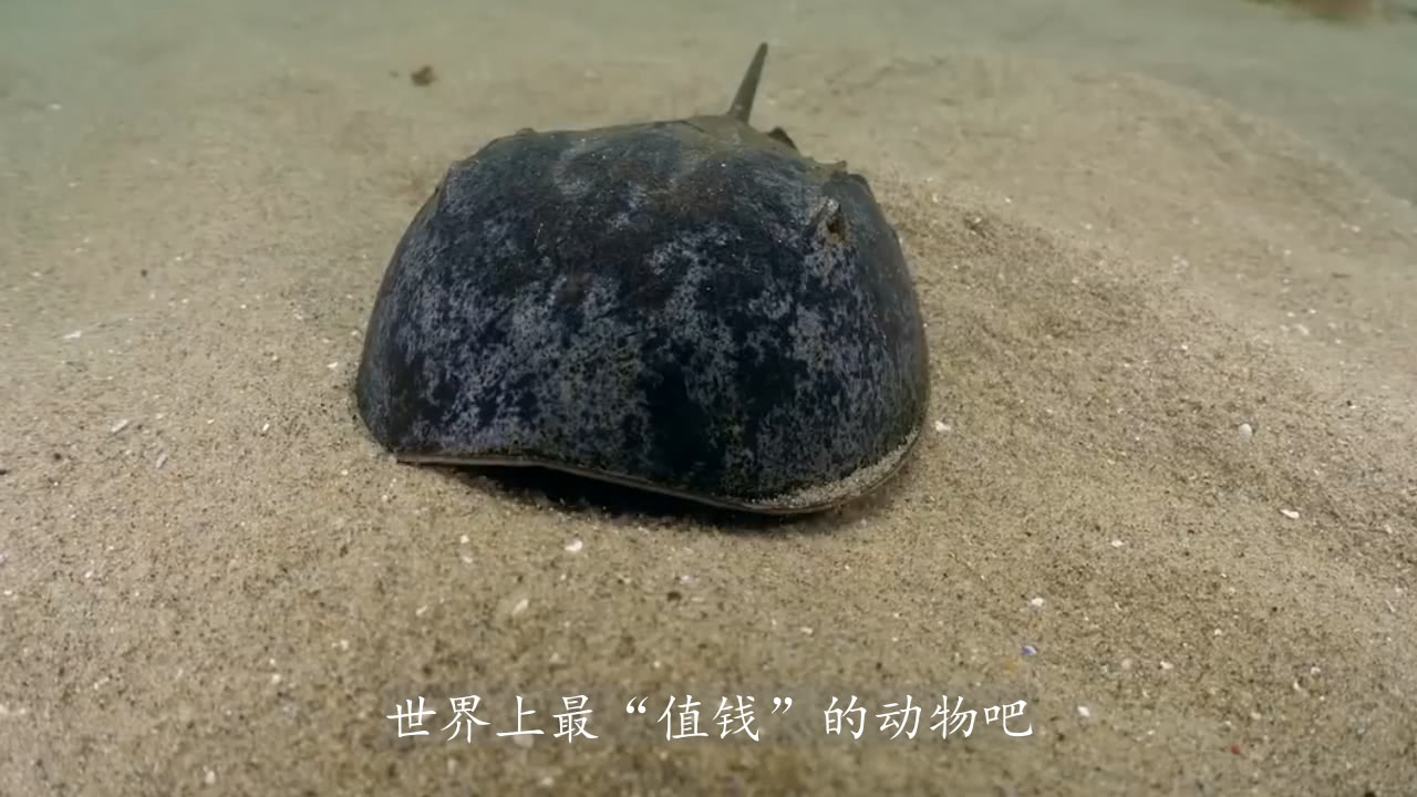 天天快报