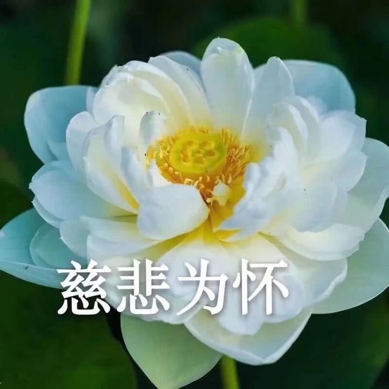 可以混进家长群的头像