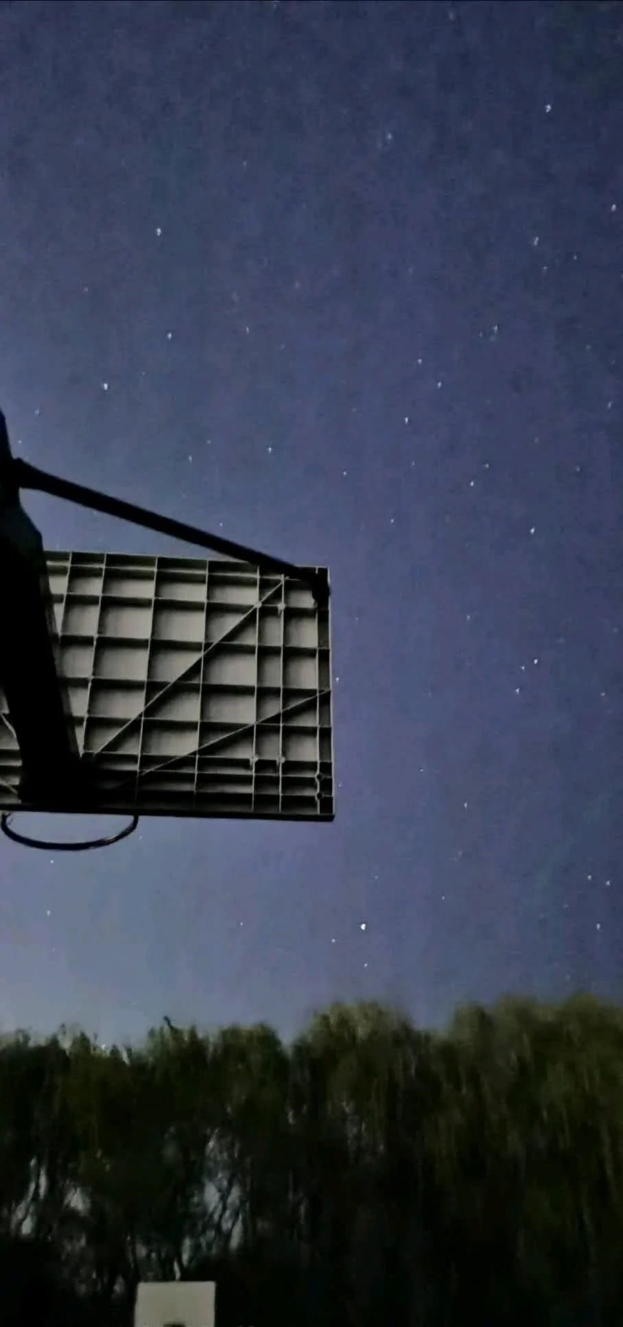 成年人该用的壁纸