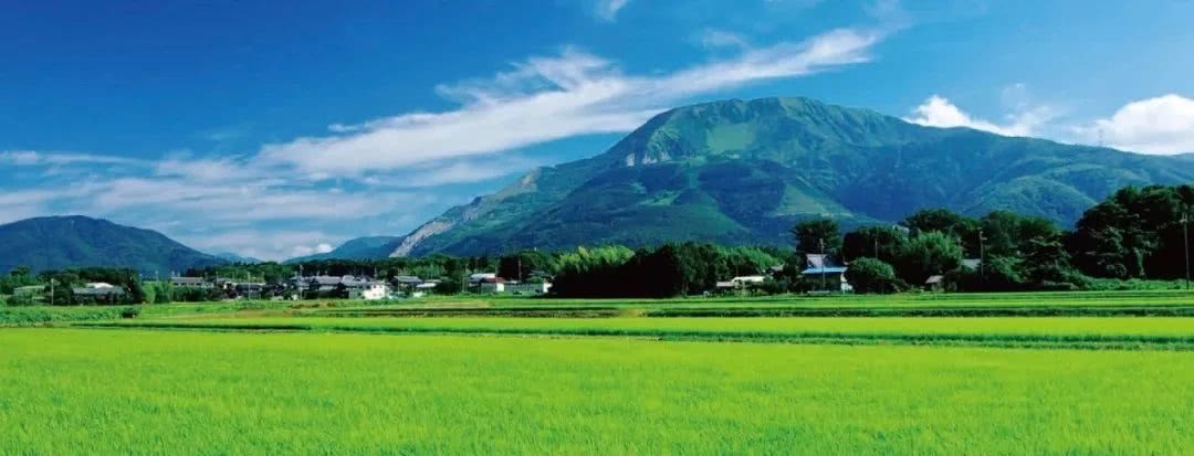 这里有被日本人视为 生命之湖 的琵琶湖 真想去走一遭 看点快报