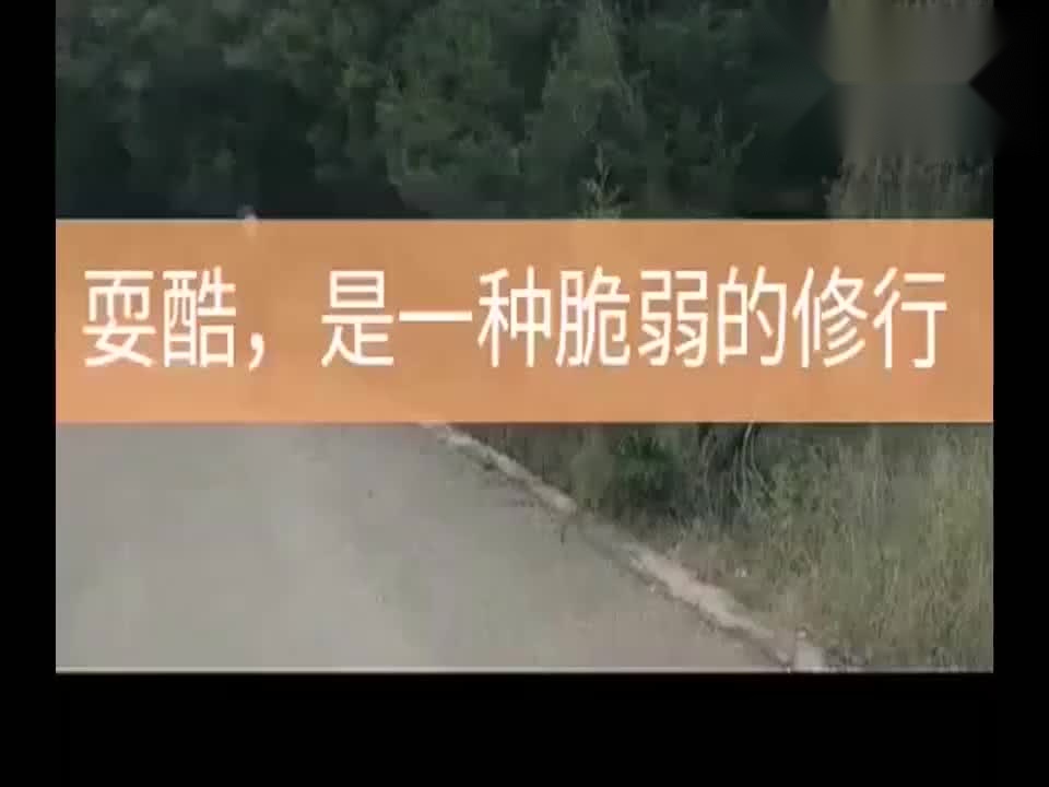 0?fmt=jpg&size=58&h=720&w=960&ppv=1