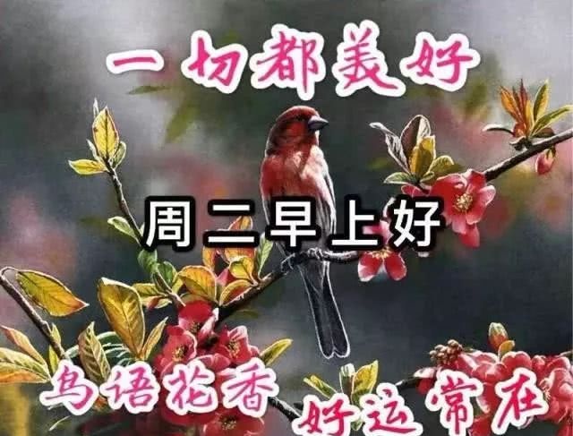 2020微信早安短信祝福语图片 经典的早安问候语图片带