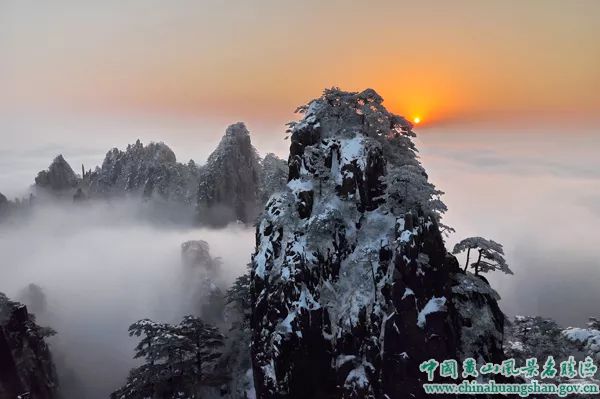 文章內文圖片