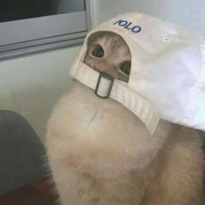 沙雕可爱头像