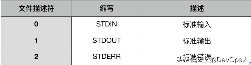 Linux I O 高级控制 看点快报
