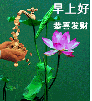 早上好祝福语大全 大家早上好图片大全