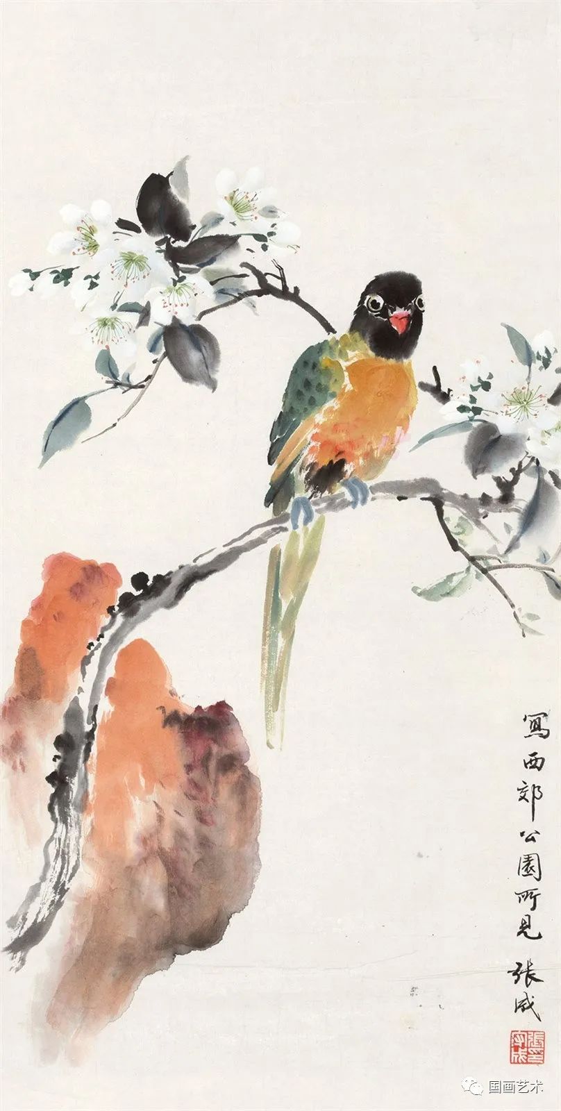 历代写意花鸟画范作选集（第98集）[153幅]_河南劉振華的博客_新浪博客
