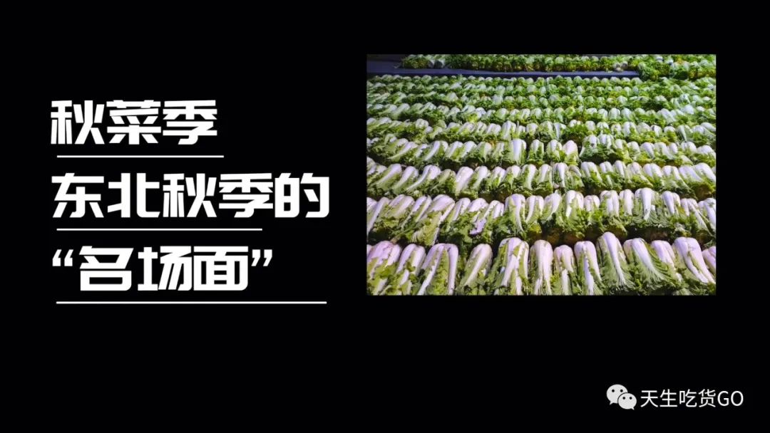 當酸菜遇見花蜆子 會碰撞出什麼樣的美味呢 天天要聞