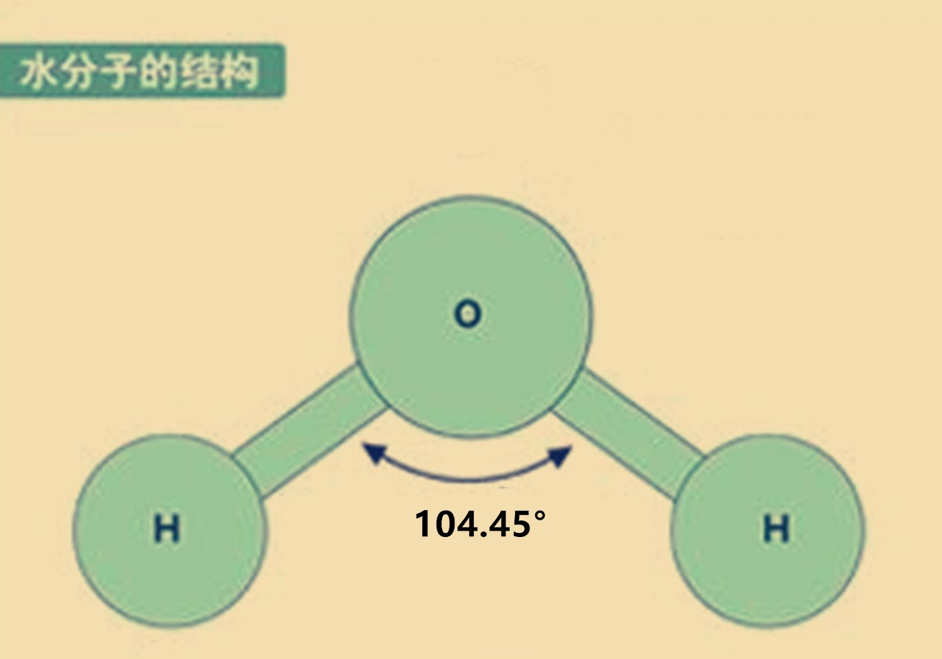 水分子