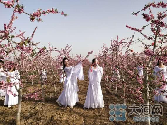 春风十里桃花香 河南叶县 千亩桃花开正艳农旅融合促民富 看点快报