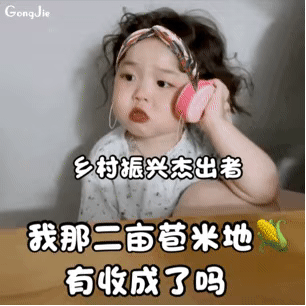 【黄夏温】包租婆萌娃表情包
