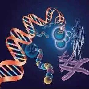 dna使我们是唯一 粒子却可能令我们回忆前生 或许这叫大道轮回 看点快报