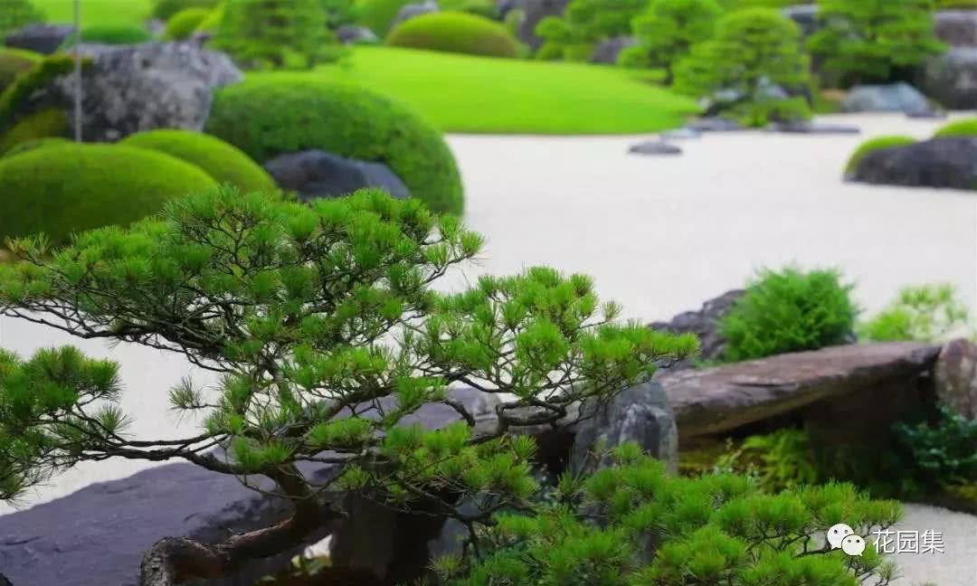关于日式庭园的石组和植物设计方法和技巧 这里有你想要的答案 看点快报