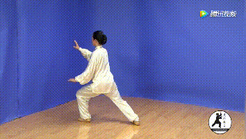 24式太极拳背向动图全解,您一定更喜欢!