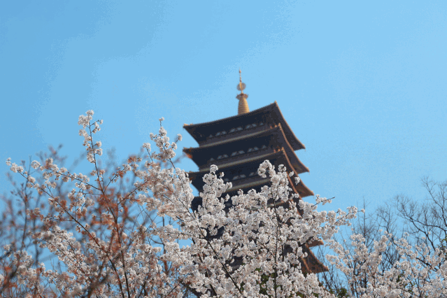 牛首山,佛顶宫