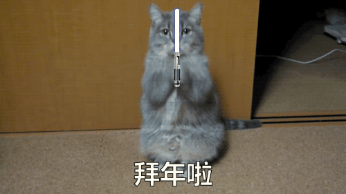 来源:soogif 拜年是人们辞旧迎新,相互表达美好祝愿的一种方式.