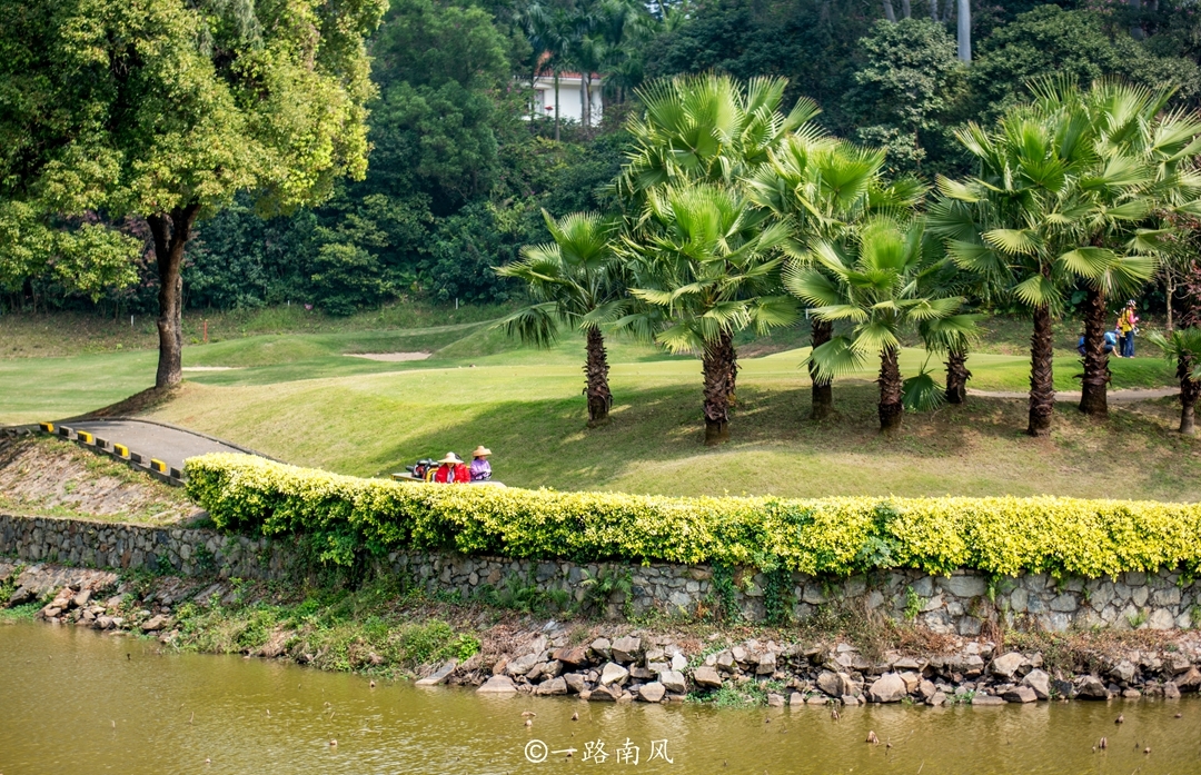广州最佳观景处,藏在这座水墨画般的公园里,不收门票还游客不多