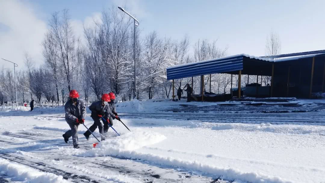 阳春三月雪纷飞 众志成城保安全 看点快报