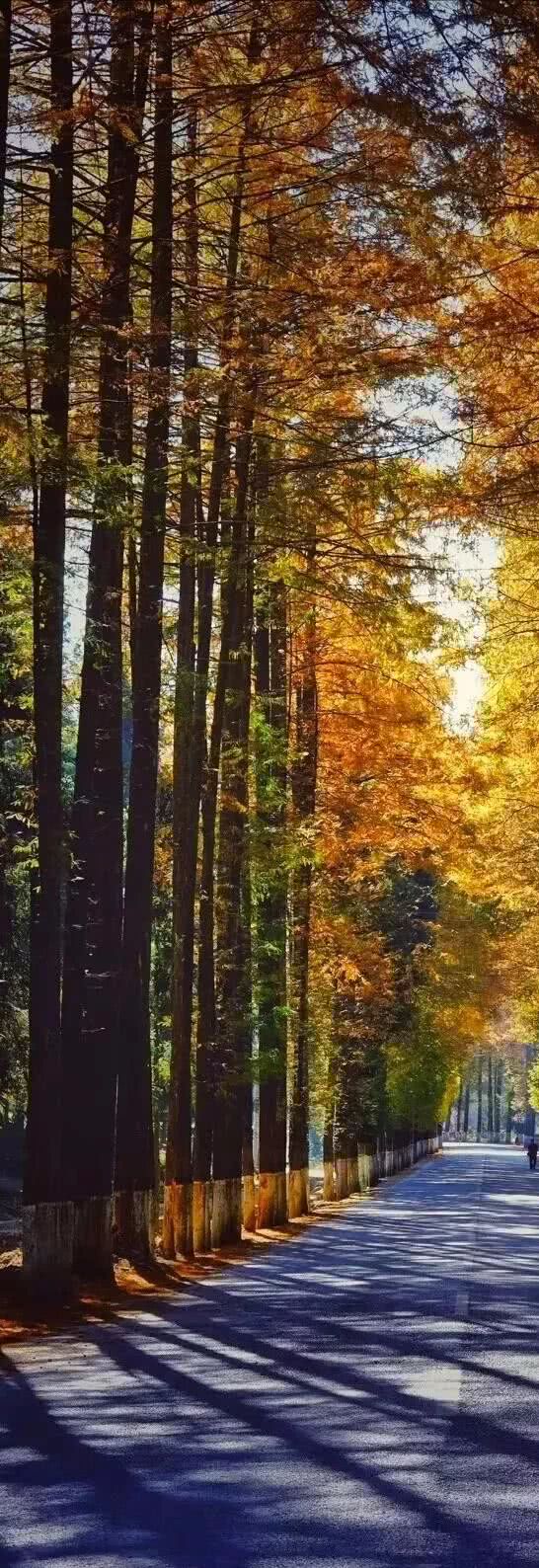 湖山生活美学12论之 通达论 看点快报