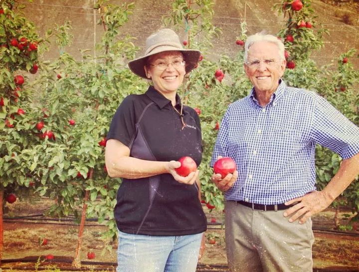 purport,scares tree breeding program and first cultivated in 1997, purports to