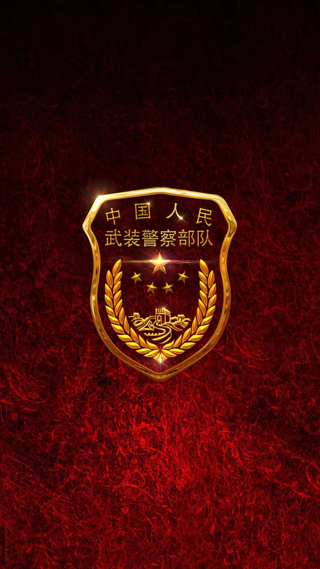 中国人民解放军空军,战略支援部队,武警部队,海军,特种部队,空军,臂章