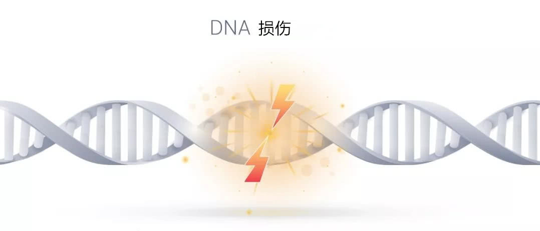 新型冠状病毒33 胡晋川博士 高通量测序 间期 有丝分裂 纺锤 看点快报