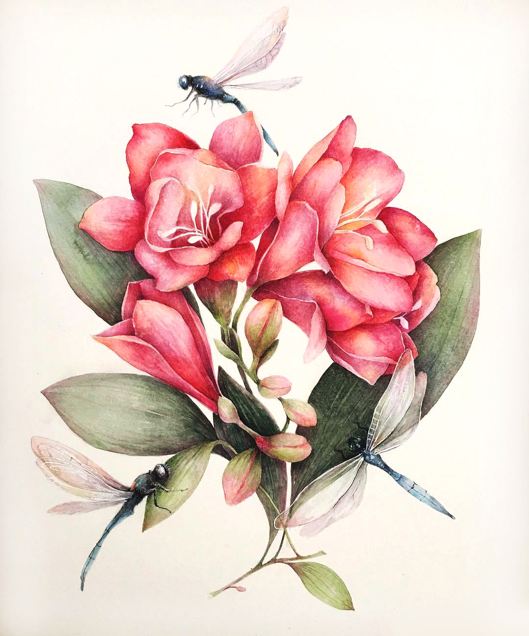 素材图库 还在为找不到素材而发愁吗 这里有你想不到的美图集 看点快报