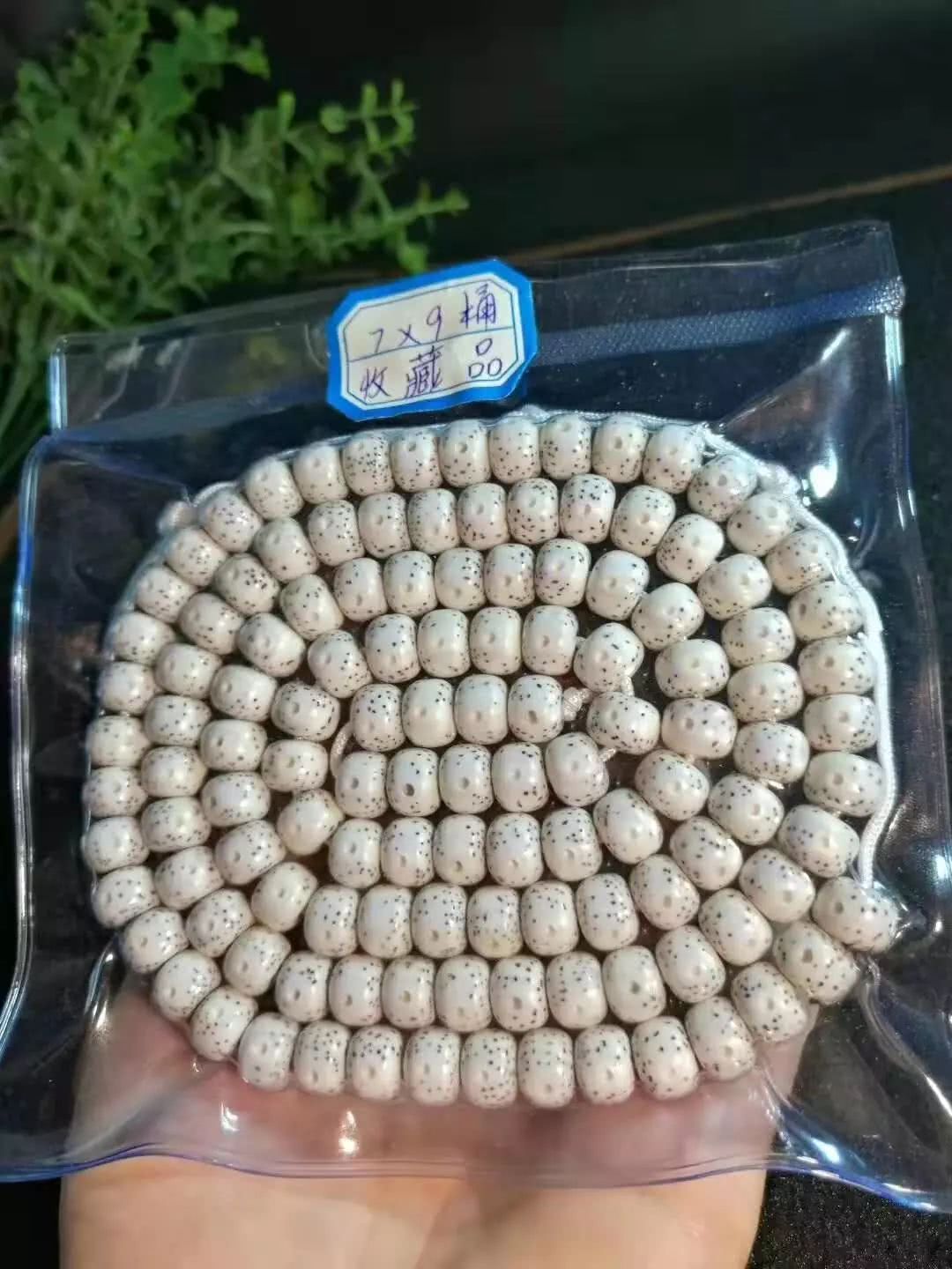 我的星月菩提子怎么没有