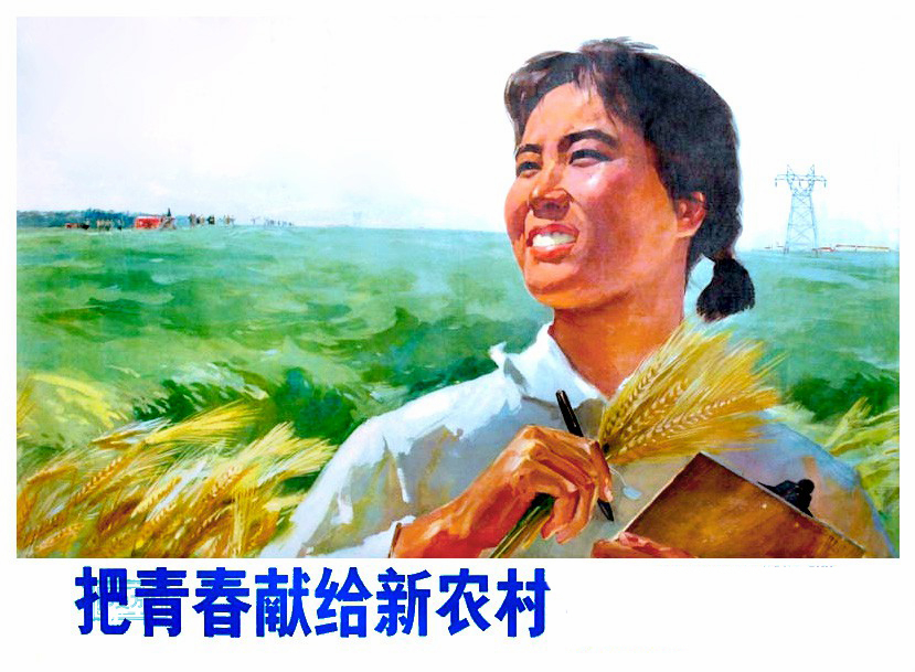 当年知青下乡宣传画,接受贫下中农的再教育,扎根农村干革命