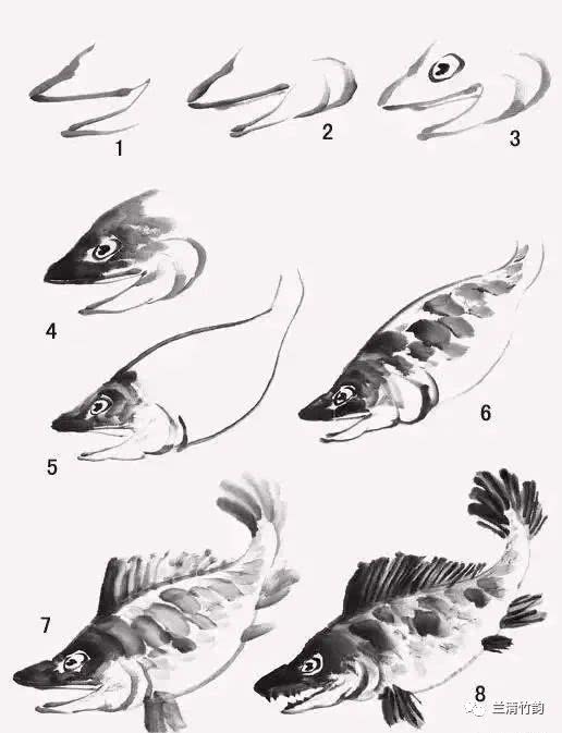 怎样画鱼:国画鱼的几种国画技法,步骤详细,难得好资料
