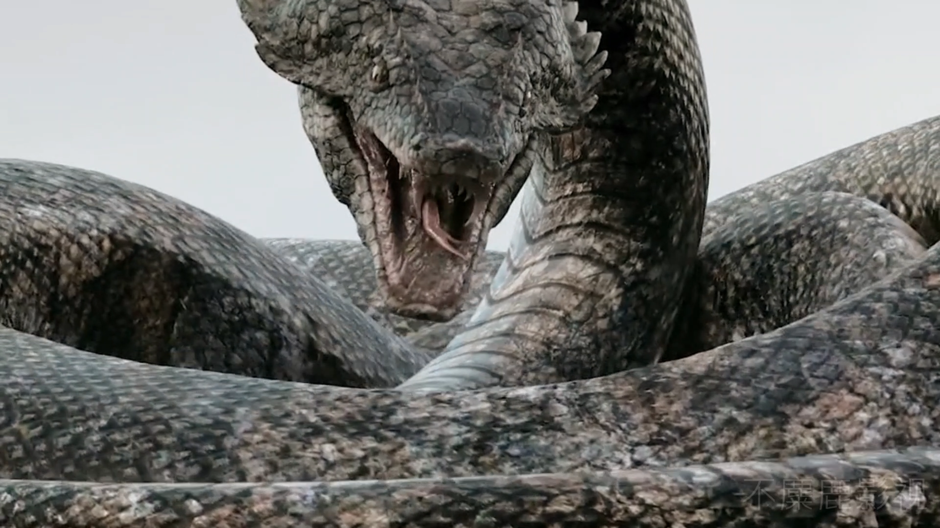 梦境迷雾，解析梦见蛇缠身的吉凶寓意