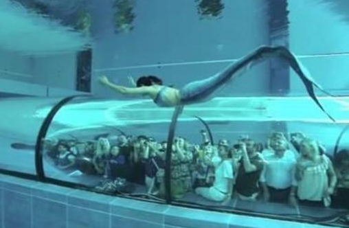 大家知道吗,在国外的一个水族馆里面,竟然养了一条