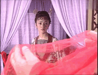 苏妲己,罗海琼,丁敏君,沈巍