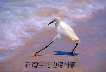 淘宝无货源店铺淘客模式，如何规避售假投诉？新手须知