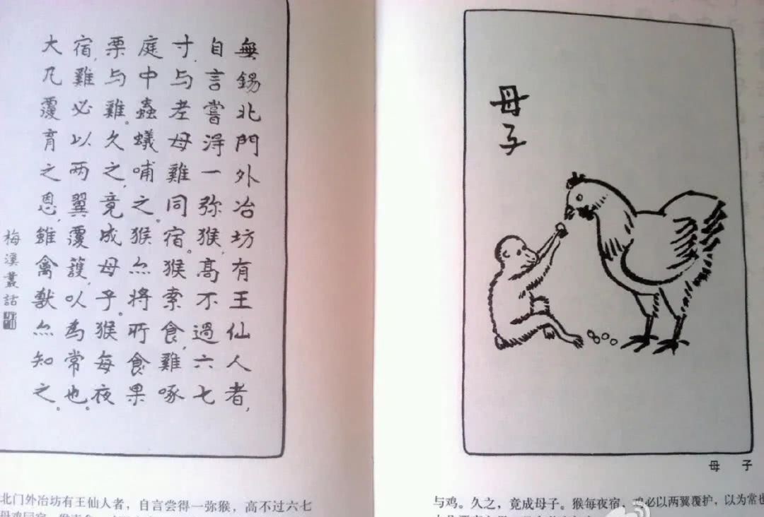 禁食猫狗 是伪善吗 看点快报