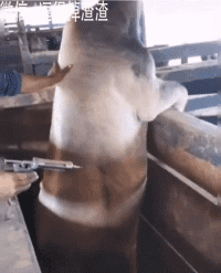 搞笑gif段子:原来你是这样的乌龟,我看错你了