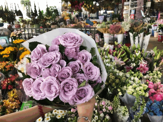 青城山,都江堰景区,人民公园,三圣乡,都江堰,疫情